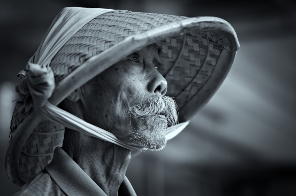 bamboo cap section image